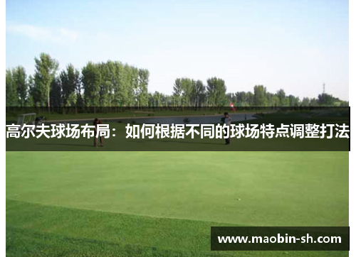 高尔夫球场布局：如何根据不同的球场特点调整打法